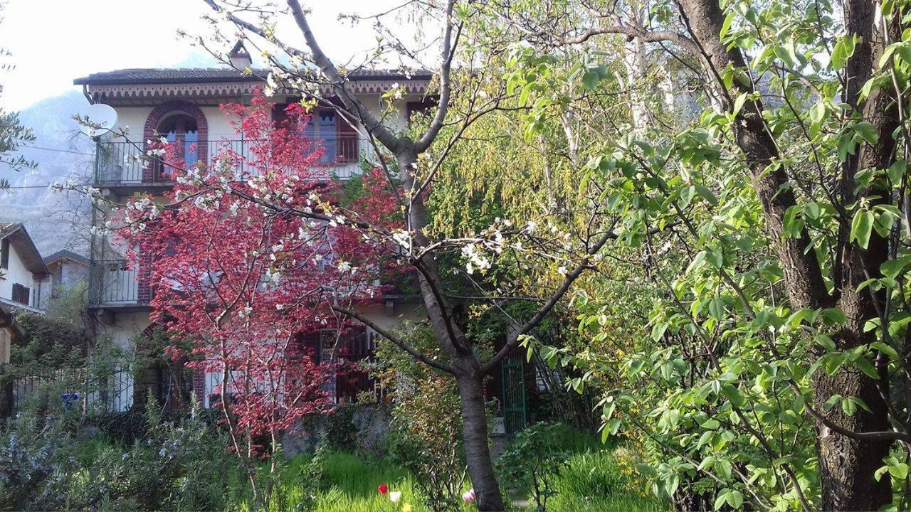 Il Giardino Dei Merli Bussoleno Exteriér fotografie